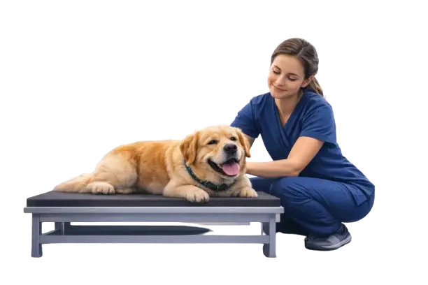 Veterinarian with dog